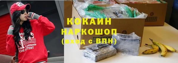 гашик Алзамай