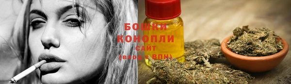 соль ск Абаза