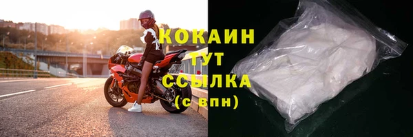 соль ск Абаза