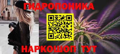 apvp Дубна