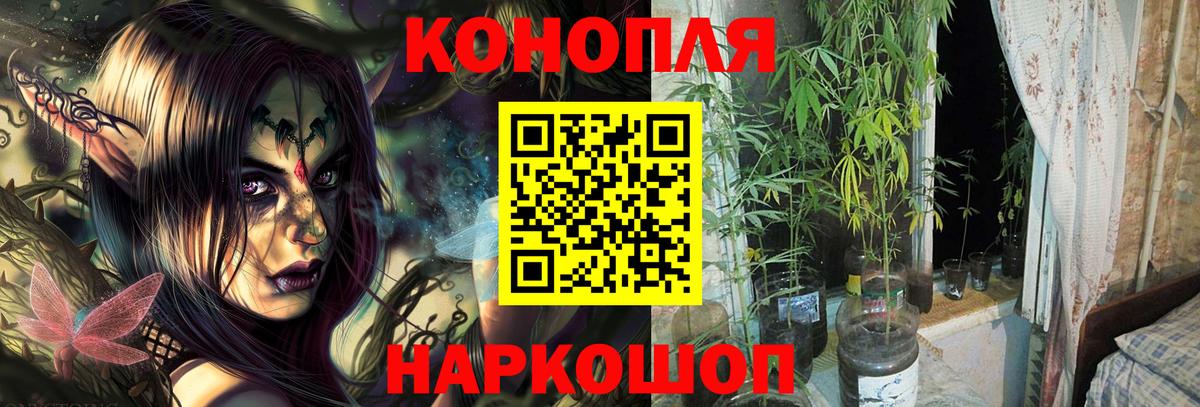 Новотроицк  Шишки марихуана ГИДРОПОН  Бошки Шишки тримм  Вход с VPN  Бошки марихуана план 