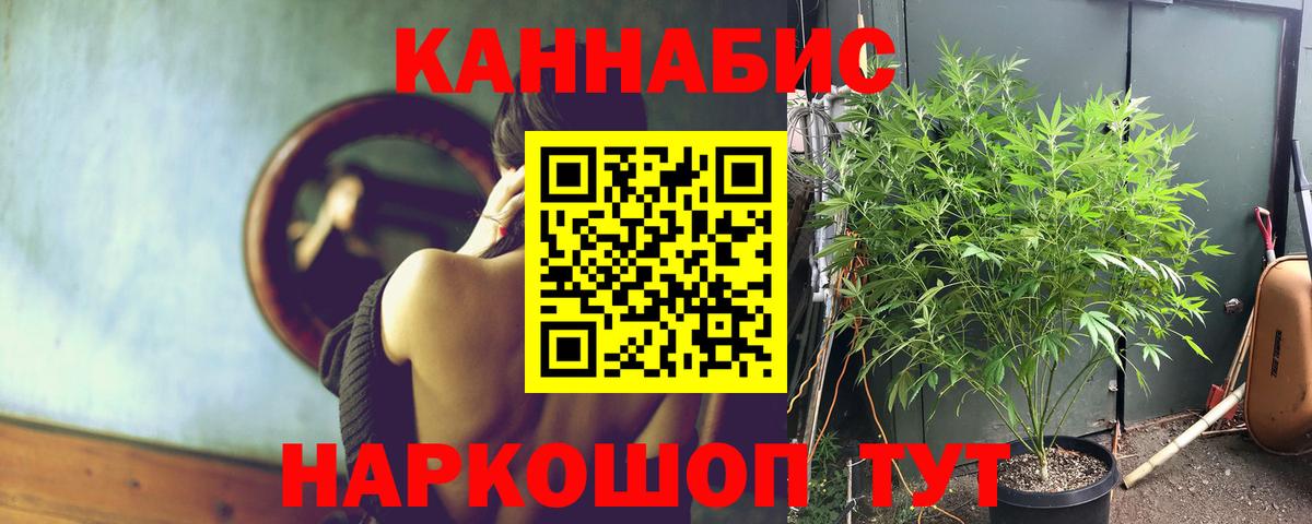 Сколько стоит  МАРИХУАНА  Новотроицк  Мефедрон   Экстази  Канабис  Вход с VPN  ГАШ  КОКАИН 